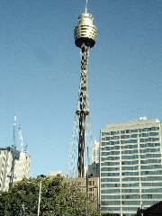 Sydney Centre Tower